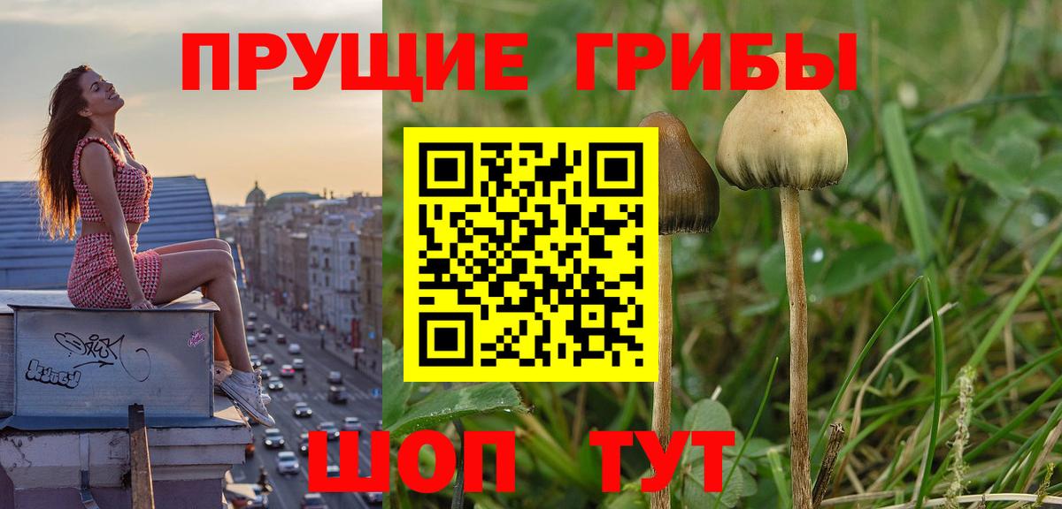 Псилоцибиновые грибы ЛСД Березники